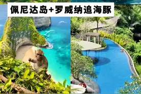 开炮去打印尼！不过万的巴厘岛和罗威纳追海豚直接拿下！ #巴厘岛 #印尼 #罗威纳追海豚 #旅行推荐官 #佩尼达岛视频封面