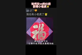 VX小老虎图标设置教程来啦！#过年红包 #虎年 视频封面