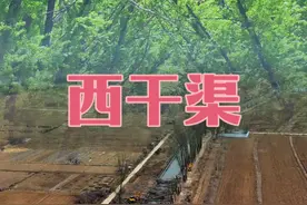 属于太原人的西干渠估计需要很多年才能恢复到往日成荫。视频封面