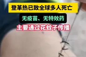 大家国庆出去玩一定要按这三步做好防蚊工作，预防登革热#登革热 #科学预防登革热 #花蚊子 #防蚊 #硬核健康科普行动视频封面