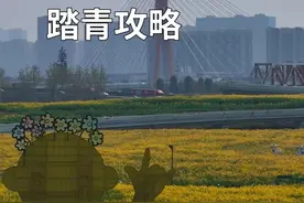 成都天府绿道踏青赏花详细攻略，告别内卷，先过了春天再说视频封面