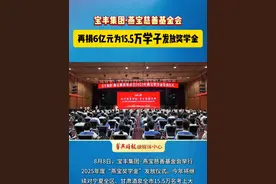 宝丰集团·燕宝慈善基金会  再捐6亿元为15.5万学子发放奖学金
          8月8日，宝丰集团·燕宝慈善基金会举行2025年度“燕宝奖学金”发放仪式。今年将继续对宁夏全区、甘肃酒泉全市15.5万名考上大学的学子进行奖励资助，共计发放“燕宝奖学金”6亿多元。自2010年至今，宝丰集团・燕宝慈善基金会累计奖励资助43.08万名青年学子，捐助50.38亿元，已有27.68万名学子毕业走上了工作岗位，在各行各业发光发热。