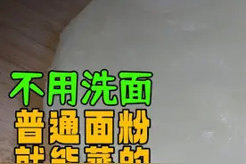 李姐蒸凉皮，不用洗面，普通面粉就能蒸，薄而筋道好吃解腻