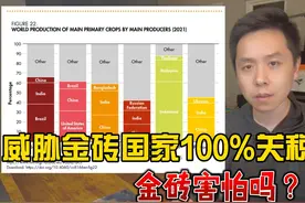 金砖不怕100%关税，掌握40%全球经济命脉视频封面