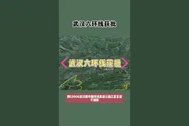 武汉六环线获批！G9906武汉都市圈环线高速江夏至梁子湖段可研批复，线路经过江夏、大冶和梁子湖视频封面