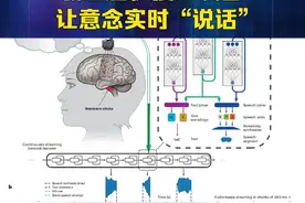 新型脑机接口设备让意念实时“说话”（潘宇菲 张梦然）视频封面