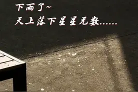 拉低相机曝光度，雨滴浸湿的地面瞬间变成了星空~网友：世界还是美好的，只是我们太忙了......（视频来源：不要叫醒我）