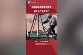 大妈拆走路边支树木棍，路人多次劝阻无效视频封面