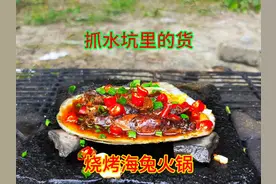 水坑里捡了3个海兔，放蚌壳里烧烤海鲜火锅，香辣鲜美太好吃了视频封面