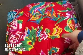 细节满分！#哈尔滨公交车座椅都安排上东北大花坐垫了 #黑龙江dou知道视频封面