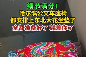 细节满分！#哈尔滨公交车座椅都安排上东北大花坐垫了 #黑龙江dou知道视频封面