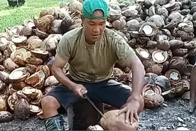 用刀砍椰子，这是在制作椰油！ #制作椰油 #科普 #涨知识