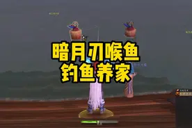 魔兽正式服钓鱼养家，暗月刃喉鱼轻松换时光！ #魔兽世界勇士集结