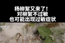 近日，北方多地迎来杨柳飞絮期，北京也发布今年首个杨柳飞絮预报。据悉，北京一般从4月上旬到5月下旬杨柳飞絮，每天上午10点到下午4点为飞絮高发时段。对于易过敏人群而言，接触杨柳飞絮可能引发皮肤瘙痒、鼻炎、哮喘等，#对杨柳絮不过敏也可能出现过敏症状 ，这是因为杨柳飞絮可能携带多种过敏原。医生提示：有过敏史人群尽量避开飞絮高发时段外出，外出尽量佩戴口罩、护目镜。#柳絮 #过敏视频封面