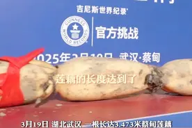 长达3.473米，9孔9节！3月19日，湖北#武汉蔡甸莲藕打破吉尼斯世界纪录成藕王  ，培育者：将用植物药剂泡起来长期保存 。视频封面