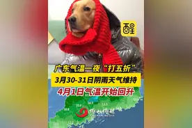 广东气温一夜“打五折”！3月30-31日阴雨天气维持，4月1日气温开始回升。（编辑：周志钊；责编：黎顺安；素材来源：广东天气、佛山天气）#广东  #天气  #冷空气视频封面