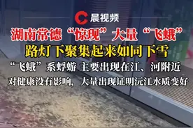 湖南惊现大量蜉蝣像“下雪” 常德网友称路上“飞蛾”聚集像下雪！其实是蜉蝣，大量出现说明附近水质较好#蜉蝣 #水质 #媒体精选计划视频封面