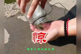 小河边偶遇一位抓鱼高手，一个罐头瓶一点白面面，这操作真惊了！视频封面
