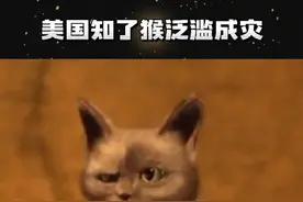 没有一只知了猴能活着爬出山东#知了猴 #山东 #国外