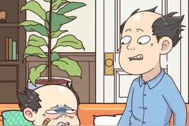 别再给孩子买这种染色乌龟了 #乌龟 #染色乌龟 #保护动物 #轻漫计划