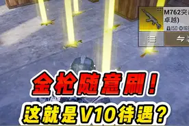 这就是V10特权？七级套随意刷！金枪铺满地面 #和平精英战场进化视频封面