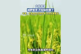 立秋将至！减肥暂停，开始贴秋膘了，专家：吃鱼瘦肉豆制品等进补效果更佳视频封面
