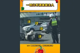 狗子：请苍天辩忠奸啊 #交通事故  #萌宠  #萨摩耶  #狗狗  #开车视频封面