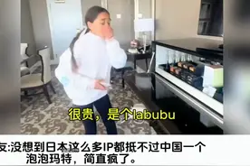 有必要为一个玩具那么疯狂吗？外国网友开箱泡泡玛特labubu