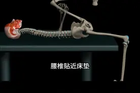 骨盆前倾的原理与改善训练建议#运动解剖 #功能性训练 #体态纠正