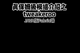 masa全家桶之tweakeroo模组介绍及保姆级教学#MC模组 #生电