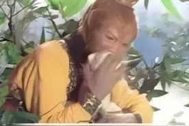 为何孙悟空六小龄童蟠桃只吃一口？真相曝光，才懂背后的无可奈何#孙悟空 #六小龄童 #杨洁 #猪八戒 #娱乐评论大赏视频封面