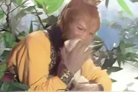 为何孙悟空六小龄童蟠桃只吃一口？真相曝光，才懂背后的无可奈何#孙悟空 #六小龄童 #杨洁 #猪八戒 #娱乐评论大赏视频封面