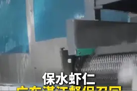 广东湛江督促召回相关产品 #广东湛江检查保水虾仁涉事企业  #315在行动视频封面