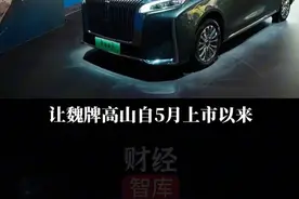 中国制造新标杆，连世界冠军都被种草了？#魏牌高山 #魏建军第一次给偶像交车 #魏建军见邓亚萍秒变迷弟