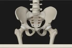 骨盆前倾矫正 #体态纠正 #没有一个动作是多余的 #干货分享 #骨盆前倾