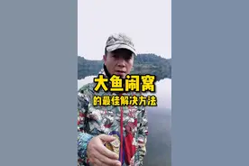 如何做窝，仅此一集足以让你【钓到鱼】本集视频揭晓答案#野钓 #户外钓鱼 #钓鱼人 #钓鱼人就是这么疯狂 #快乐垂钓 #钓鱼那些事 #户外运动 