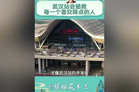 武汉，第一个把高铁开进候车厅的城市 #武汉站  #高铁  #旅游  #内容过于真实 #内容启发搜索视频封面
