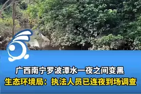 广西南宁罗波潭水一夜之间变黑 ，生态环境局：执法人员已连夜到场调查视频封面