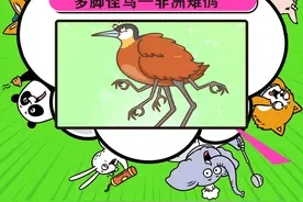 长着“6条腿”的变异怪鸟，它是《山海经》里的异兽原型吗？ #动物科普 #冷知识 #涨知识视频封面