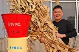 大捆干秸秆：生产颗粒养牛羊。不加玉米，低成本饲料。新款300 #颗粒机 #粉碎机 #养羊 #养羊人 #玉米棒视频封面