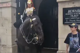 谁能想到，马也会咬人呢！ #英国 #伦敦视频封面