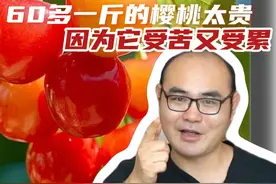 成都首批“恩桃儿”上市60多一斤你吃了吗？为啥今年这么晚还卖那么贵？本期#90后大叔说农事 大叔就来跟大家摆一摆！ #樱桃 #水果 #成都视频封面