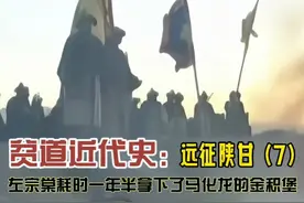 贫道近代史：远征陕甘（7）左宗棠耗时一年半攻下马化龙的金积堡视频封面