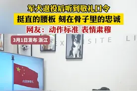 军犬退役后听到敬礼口令 挺直的腰板 刻在骨子里的忠诚 网友:动作标准 表情肃穆（郭）（来源：@尖尖角）视频封面