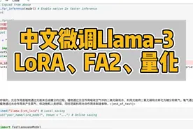 中文微调Llama-3（LoRA+FA2+Quantize） #llama3 #模型微调