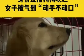 1月22日，江苏淮安，身份证被狗狗咬烂，女子被气到“动手不动口”视频封面