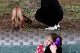 每个孩子都是一个母亲全部的希望，马户用自己的善良治愈了一个失去孩子的母亲。人生或许遇到很多挫折，我们要做大海上的海燕，任凭风浪再大也要展翅飞翔。#萌宠出道计划 #声控解压 #忠犬马户 #人宠情深视频封面