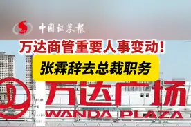 万达商管重要人事变动！
张霖因辞去总裁职务视频封面