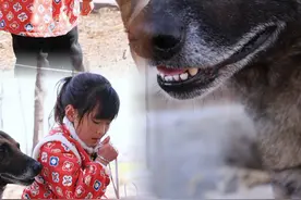 如果你碰到一只被人遗弃的小狗狗你会收留它嘛，每年因为被主人遗弃的流浪狗和流浪猫都在增加。毛孩子也会有自己的感情，可以不爱请别伤害。#万物可爱计划  #被小狗治愈的一万个瞬间 #忠犬马户 #每个镜头都有它的故事