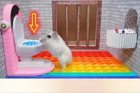 小仓鼠大冒险：仓鼠勇闯深海世界探险，能否成功破解迷宫封印？视频封面